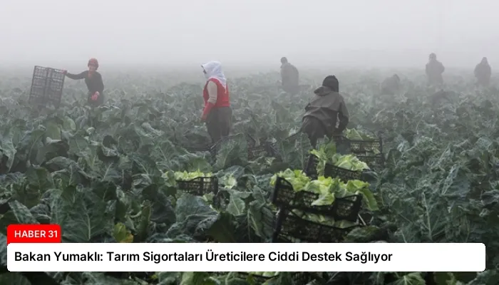 Bakan Yumaklı: Tarım Sigortaları Üreticilere Ciddi Destek Sağlıyor