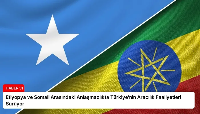 Etiyopya ve Somali Arasındaki Anlaşmazlıkta Türkiye’nin Aracılık Faaliyetleri Sürüyor