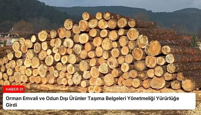 Orman Emvali ve Odun Dışı Ürünler Taşıma Belgeleri Yönetmeliği Yürürlüğe Girdi