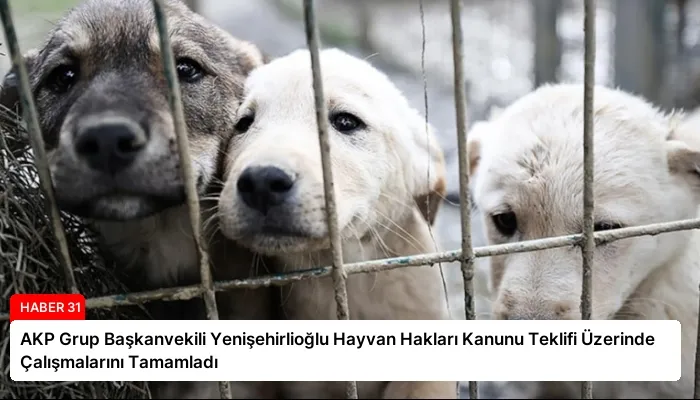 AKP Grup Başkanvekili Yenişehirlioğlu Hayvan Hakları Kanunu Teklifi Üzerinde Çalışmalarını Tamamladı