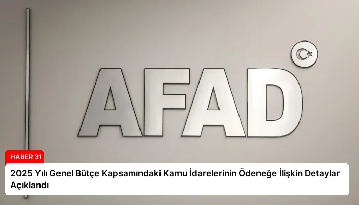 2025 Yılı Genel Bütçe Kapsamındaki Kamu İdarelerinin Ödeneğe İlişkin Detaylar Açıklandı