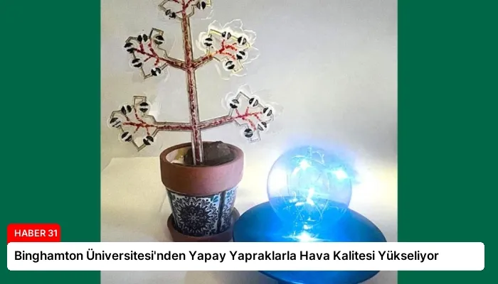 Binghamton Üniversitesi’nden Yapay Yapraklarla Hava Kalitesi Yükseliyor