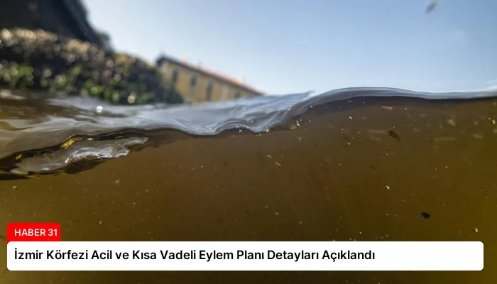 İzmir Körfezi Acil ve Kısa Vadeli Eylem Planı Detayları Açıklandı