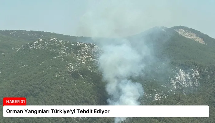 Orman Yangınları Türkiye’yi Tehdit Ediyor