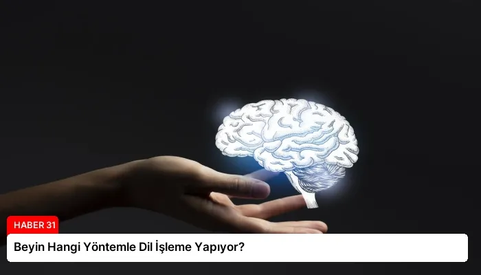 Beyin Hangi Yöntemle Dil İşleme Yapıyor?