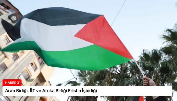 Arap Birliği, İİT ve Afrika Birliği Filistin İşbirliği