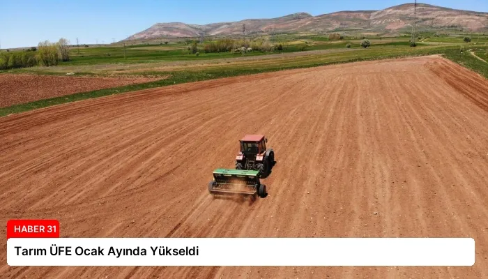 Tarım ÜFE Ocak Ayında Yükseldi