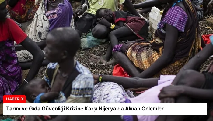 Tarım ve Gıda Güvenliği Krizine Karşı Nijerya’da Alınan Önlemler