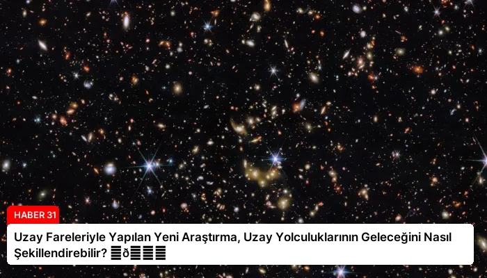 Uzay Fareleriyle Yapılan Yeni Araştırma, Uzay Yolculuklarının Geleceğini Nasıl Şekillendirebilir? ⏬👇