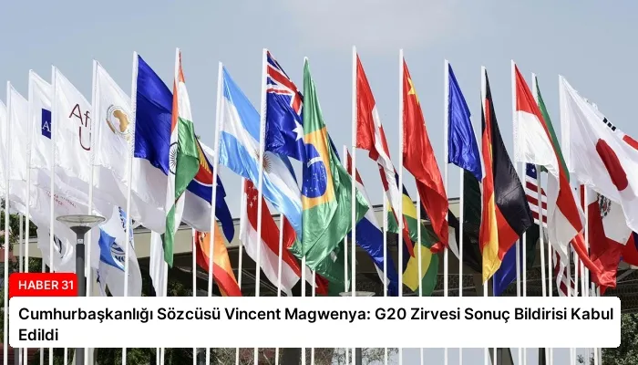 Cumhurbaşkanlığı Sözcüsü Vincent Magwenya: G20 Zirvesi Sonuç Bildirisi Kabul Edildi