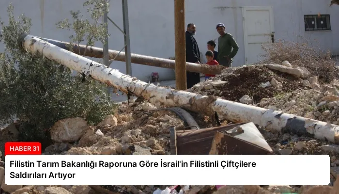 Filistin Tarım Bakanlığı Raporuna Göre İsrail’in Filistinli Çiftçilere Saldırıları Artıyor