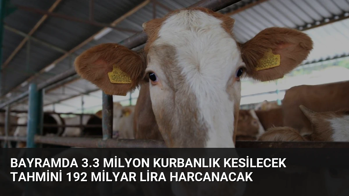 Bayramda 3.3 Milyon Kurbanlık Kesilecek Tahmini 192 Milyar Lira Harcanacak