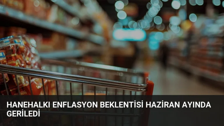 Hanehalkı Enflasyon Beklentisi Haziran Ayında Geriledi