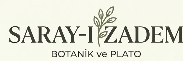 ESTETİĞİN TAMAMLAYICISI: SAKSI MODELLERİ