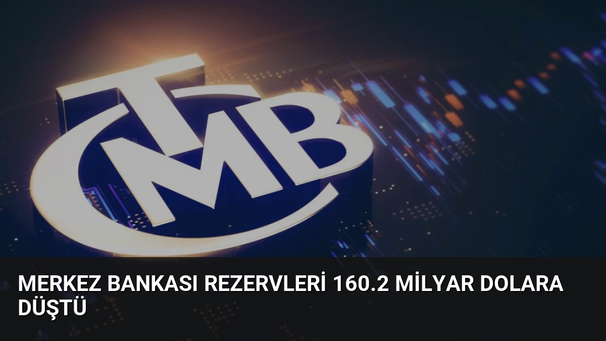Merkez Bankası Rezervleri 160.2 Milyar Dolara Düştü