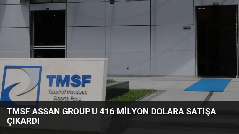 TMSF Assan Group’u 416 Milyon Dolara Satışa Çıkardı