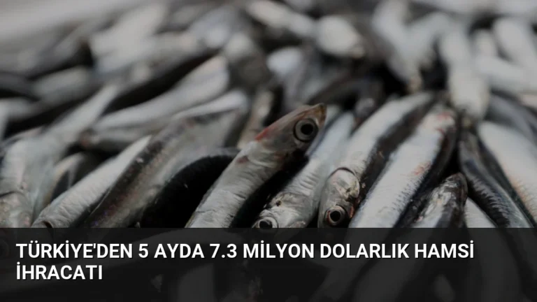 Türkiye’den 5 Ayda 7.3 Milyon Dolarlık Hamsi İhracatı