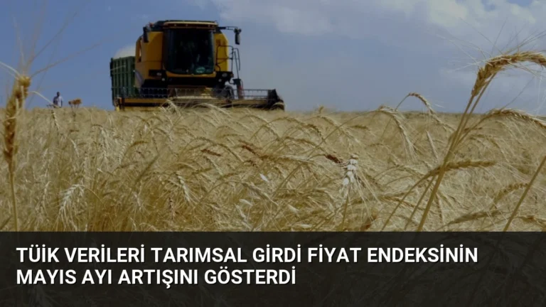 TÜİK Verileri Tarımsal Girdi Fiyat Endeksinin Mayıs Ayı Artışını Gösterdi