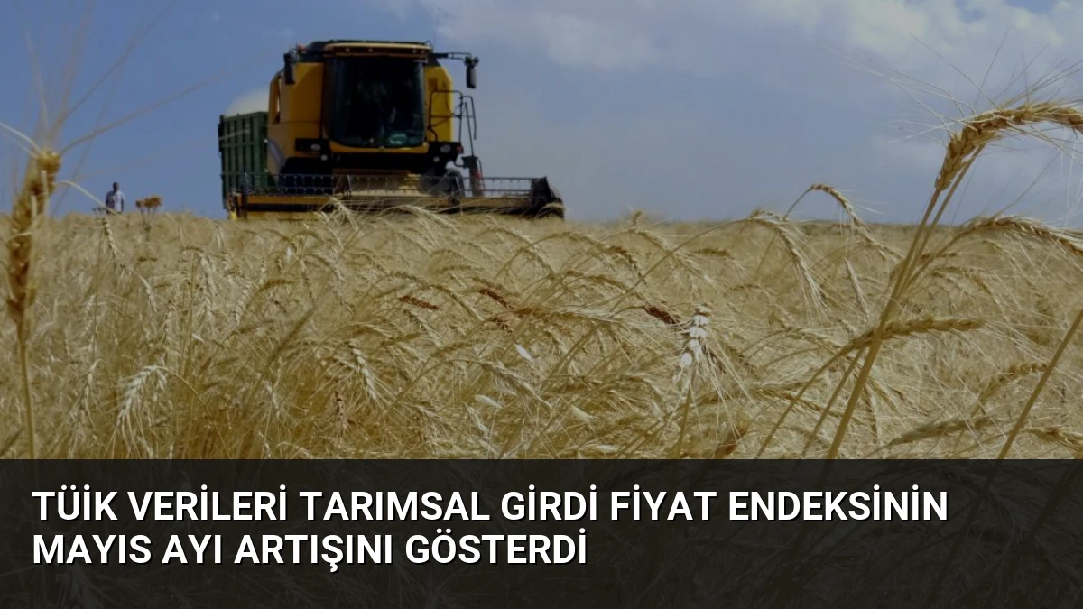 TÜİK Verileri Tarımsal Girdi Fiyat Endeksinin Mayıs Ayı Artışını Gösterdi