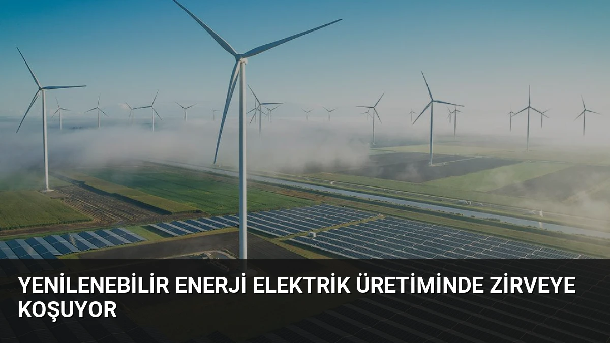 Yenilenebilir Enerji Elektrik Üretiminde Zirveye Koşuyor