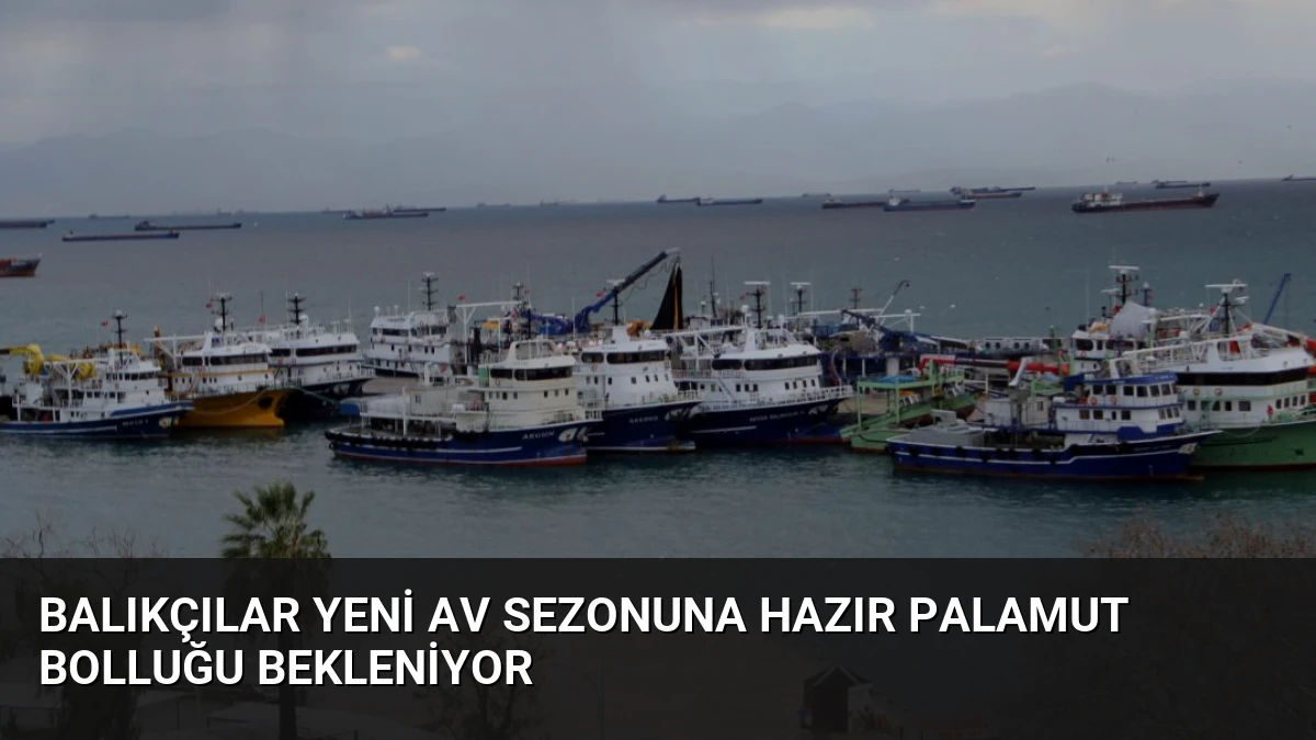 Balıkçılar Yeni Av Sezonuna Hazır Palamut Bolluğu Bekleniyor