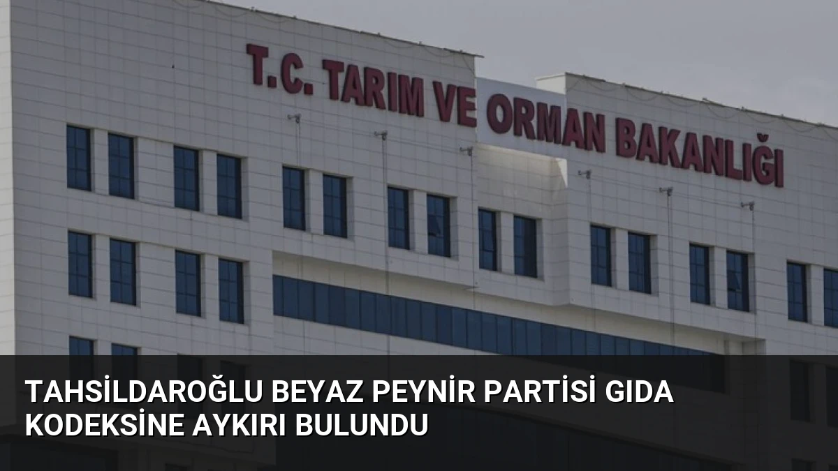 Tahsildaroğlu Beyaz Peynir Partisi Gıda Kodeksine Aykırı Bulundu