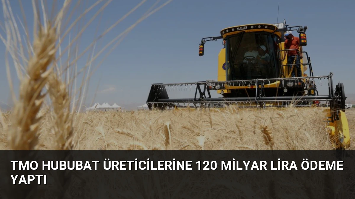 TMO Hububat Üreticilerine 120 Milyar Lira Ödeme Yaptı