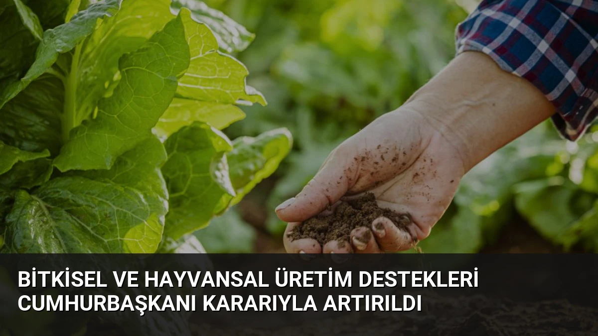 Bitkisel ve Hayvansal Üretim Destekleri Cumhurbaşkanı Kararıyla Artırıldı