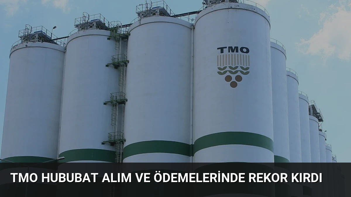 TMO Hububat Alım ve Ödemelerinde Rekor Kırdı