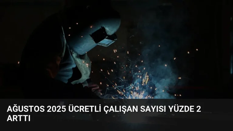 Ağustos 2025 Ücretli Çalışan Sayısı Yüzde 2 Arttı