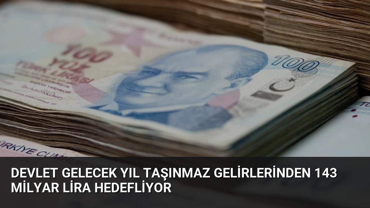 Devlet Gelecek Yıl Taşınmaz Gelirlerinden 143 Milyar Lira Hedefliyor