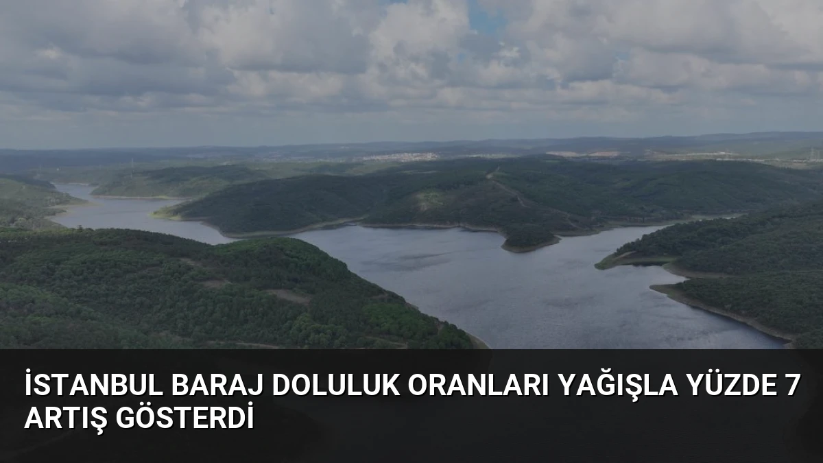 İstanbul Baraj Doluluk Oranları Yağışla Yüzde 7 Artış Gösterdi