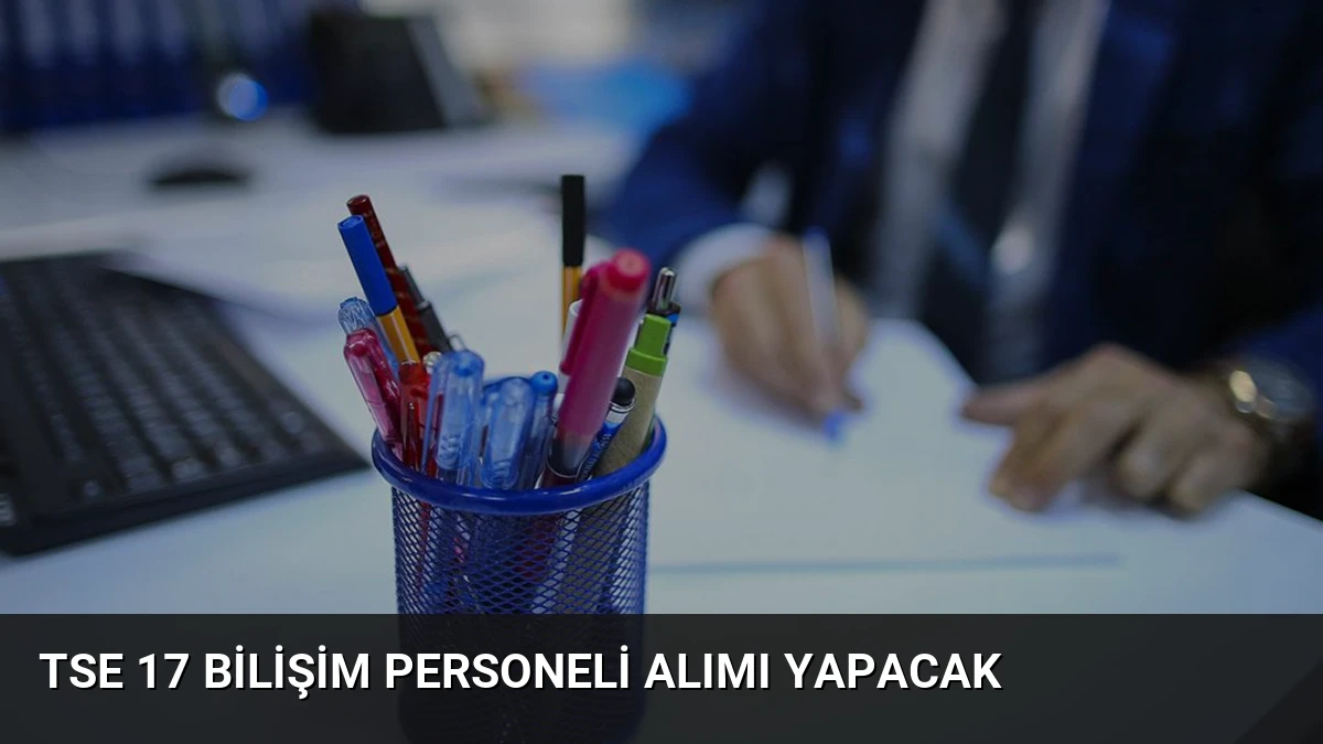 TSE 17 Bilişim Personeli Alımı Yapacak