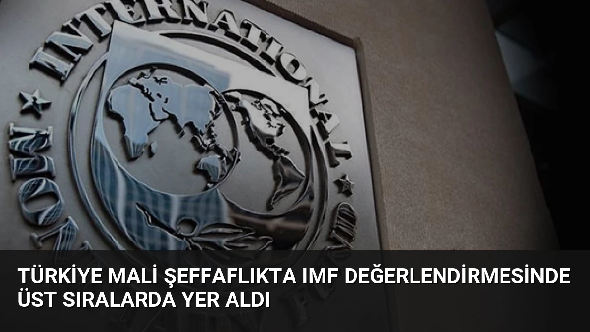 Türkiye Mali Şeffaflıkta IMF Değerlendirmesinde Üst Sıralarda Yer Aldı